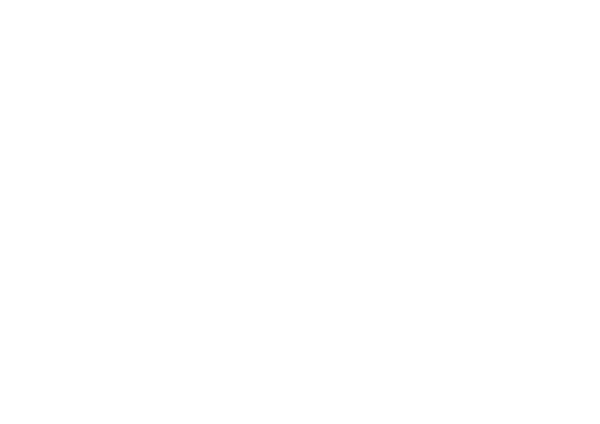 The Julio Silva Team
