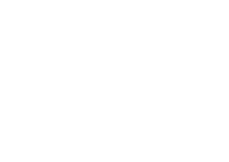 Customade Travel - Logo (branco)